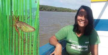 O banner possui duas imagens. A da esquerda é uma arte, em guache, da nova espécie. Ela mostra o inseto pousado verticalmente em um galho, em meio a vários outros galhos e ramos de uma lagoa. O inseto tem asas bem esticadas dorsalmente e a vegetação é verde. No fundo, há um inseto voando e um dinossauro. A foto da direita é da Paula Heloísa, uma mulher de pele morena, cabelos pretos e lisos, e sorrindo, que está sentada em um barco na água.